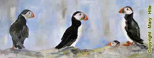 Description: Puffin Talk.jpg