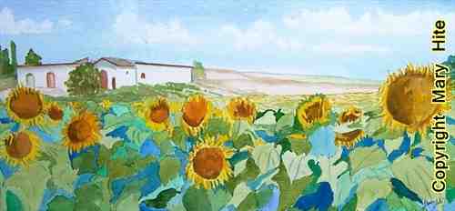 Description: Sunflowers in France.jpg