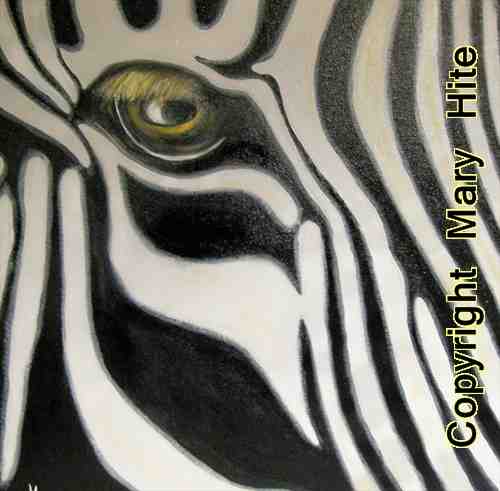 Description: The Eye of the Zebra.jpg